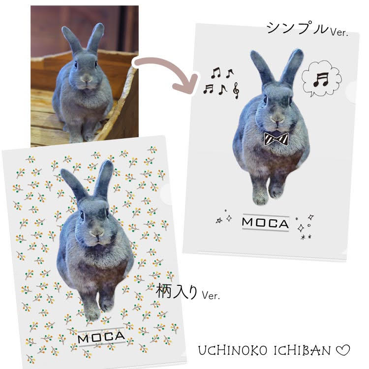 うさぎサンで作るクリアファイル（えんぴつ画風）