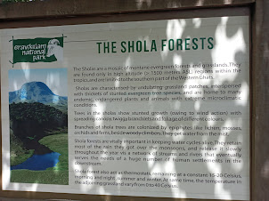 Explanatory  note on Shola Forests.