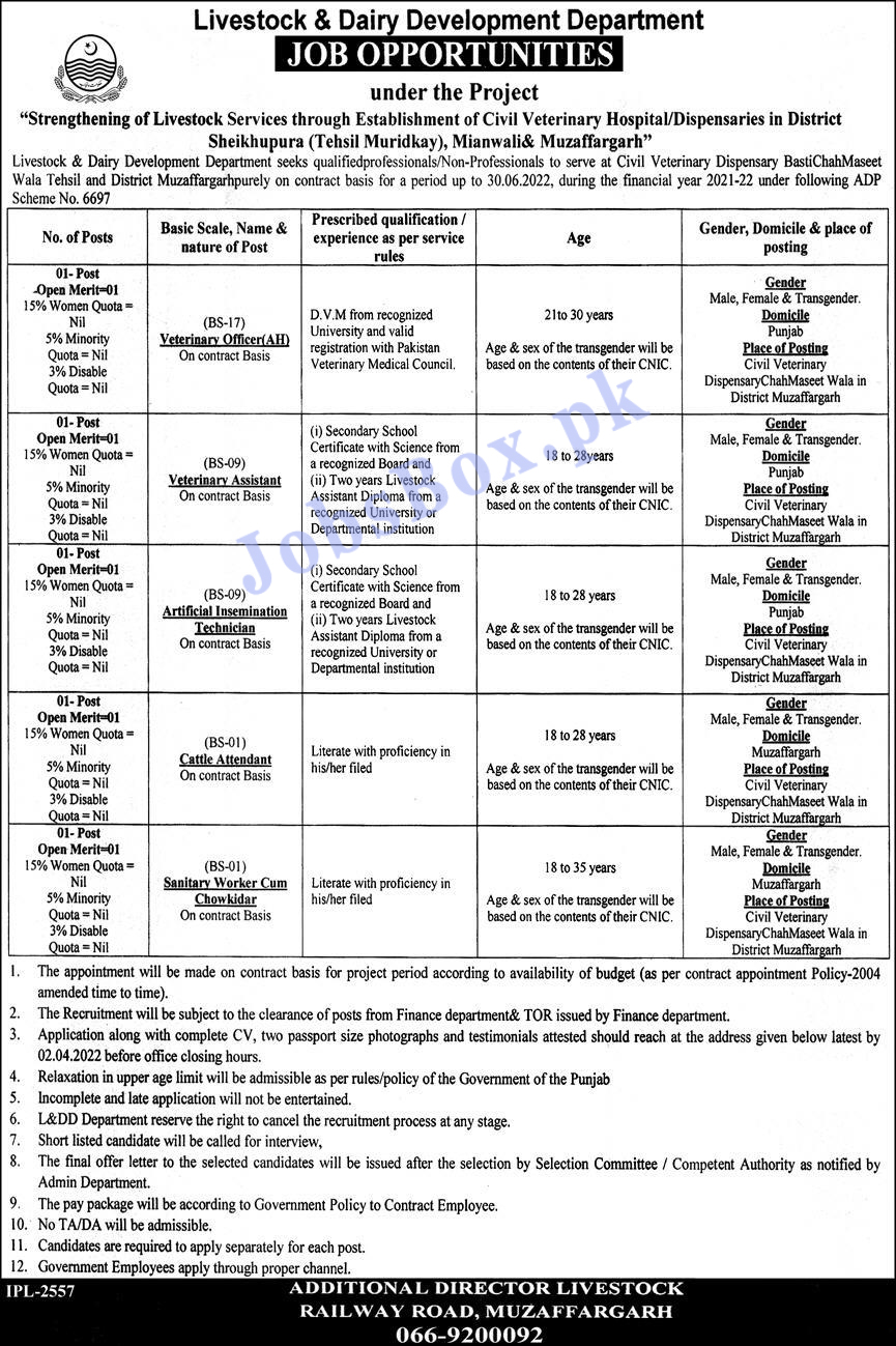 Livestock and Dairy Development Department Punjab Jobs 2022 in Pakistan