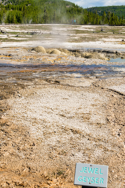 Jewel Geyser at Biscuit Basin Yellowstone National Park