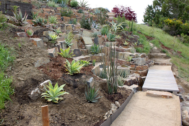 Hillside garden