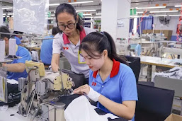 VIETNAM SOFTWARE INDUSTRY