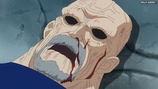 ワンピースアニメ ドレスローザ編 735話 ラオG Lao G CV.後藤哲夫 | ONE PIECE Episode 735