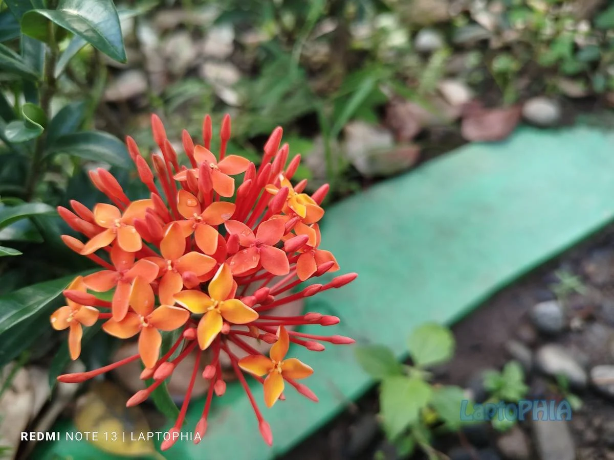 Hasil Foto Kamera Xiaomi Redmi Note 13 4G