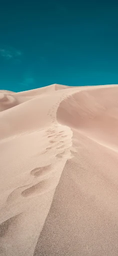 Soft pastel dawn light on tranquil desert dunes phone wallpaper