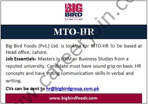 Jobs in BigBird Group