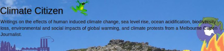 Climate Citizen