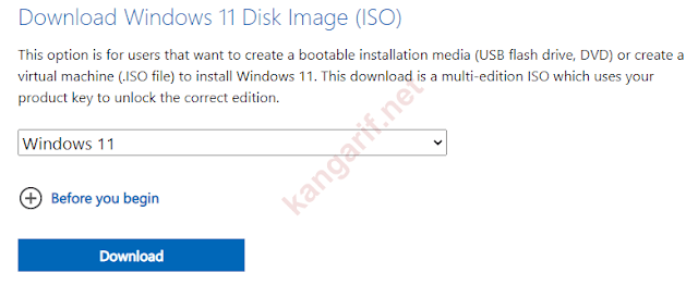 download windows 11 disk image (iso)