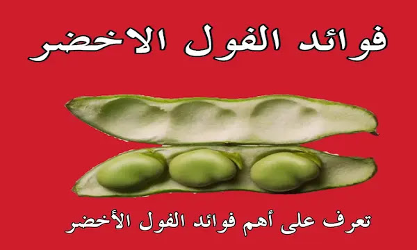 green beans Benefits, فوائد الفول الاخضر للحامل و أضراره