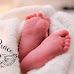 हिमाचल: अविकसित भ्रूण को घर के बरामदे में फैंका, साथ में नहीं थे हाथ और पांव, धड़ से नीचे का हिस्सा भी था गायब, मामला दर्ज 