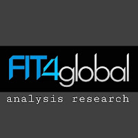 Fit4global Analysis Research (3)