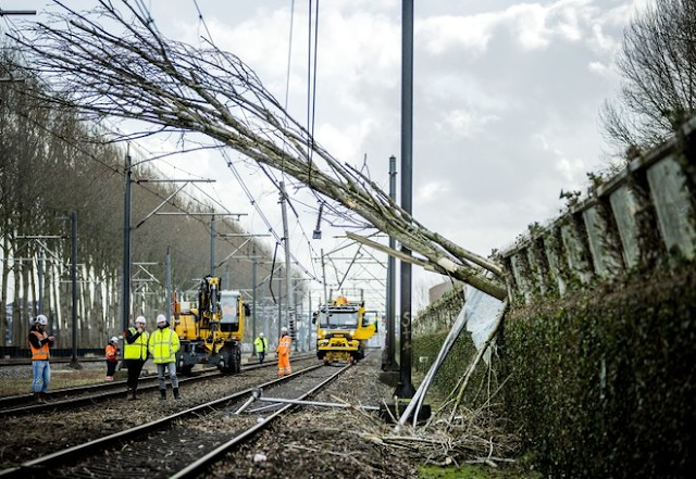 Hurricane Younis kills 13 in Europe, leaving millions without power