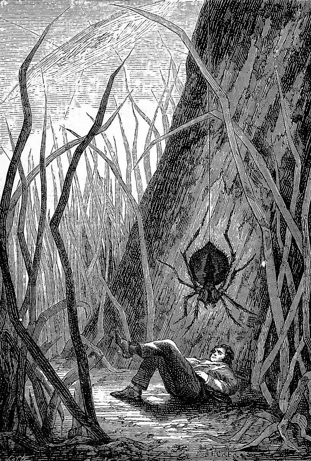 Léon Becker illustration of a giant spider appoaching a sleeping man 1888