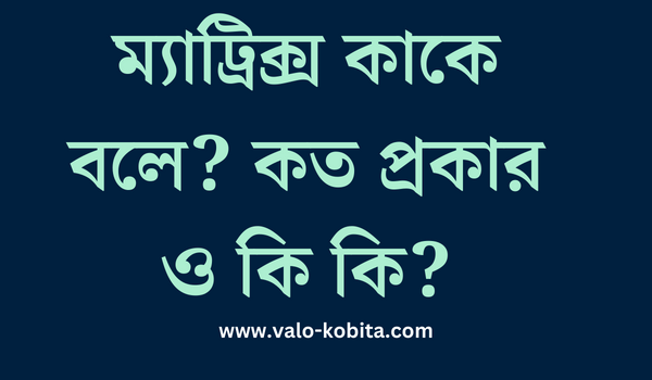 ম্যাট্রিক্স কাকে বলে? কত প্রকার ও কি কি