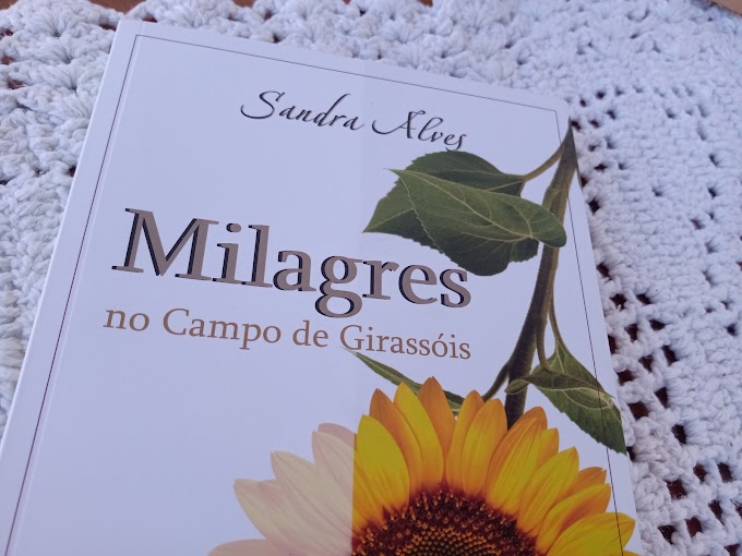 [Resenha] Milagres no Campo de Girassóis