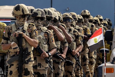 Weighing the Urgency of an OIC Peacekeeping Force: Hopes and Challenges in Gaza and the Red Sea