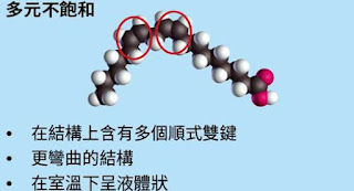 多元不飽和脂肪