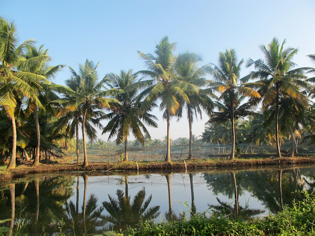 Kerala Tourism Places