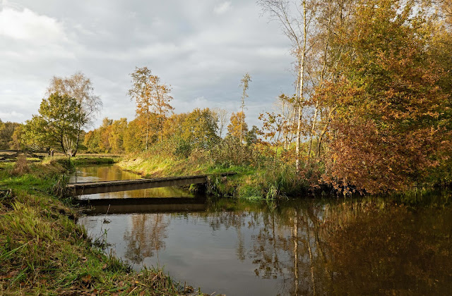 Landgoed Nemerlaer met de Essche Stroom en de Nemer november 2021