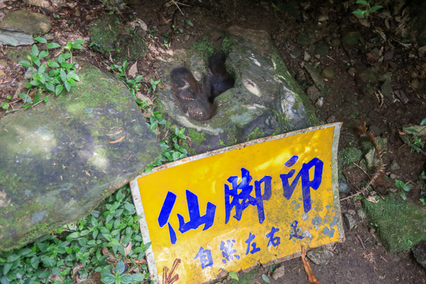 嘉義梅山仙人堀步道秘境，杉林木棧道輕鬆散步聽蟲鳴鳥叫水流聲