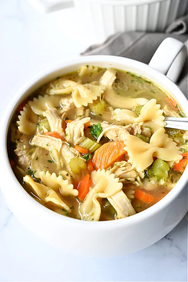 homemade chicken noodle soup with vegetables, chunks of chicken in delicious broth