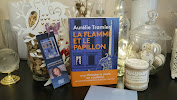 la flamme et le papillon aurelie tramier avis chronique littéraire laliseuseheureuse happybooks