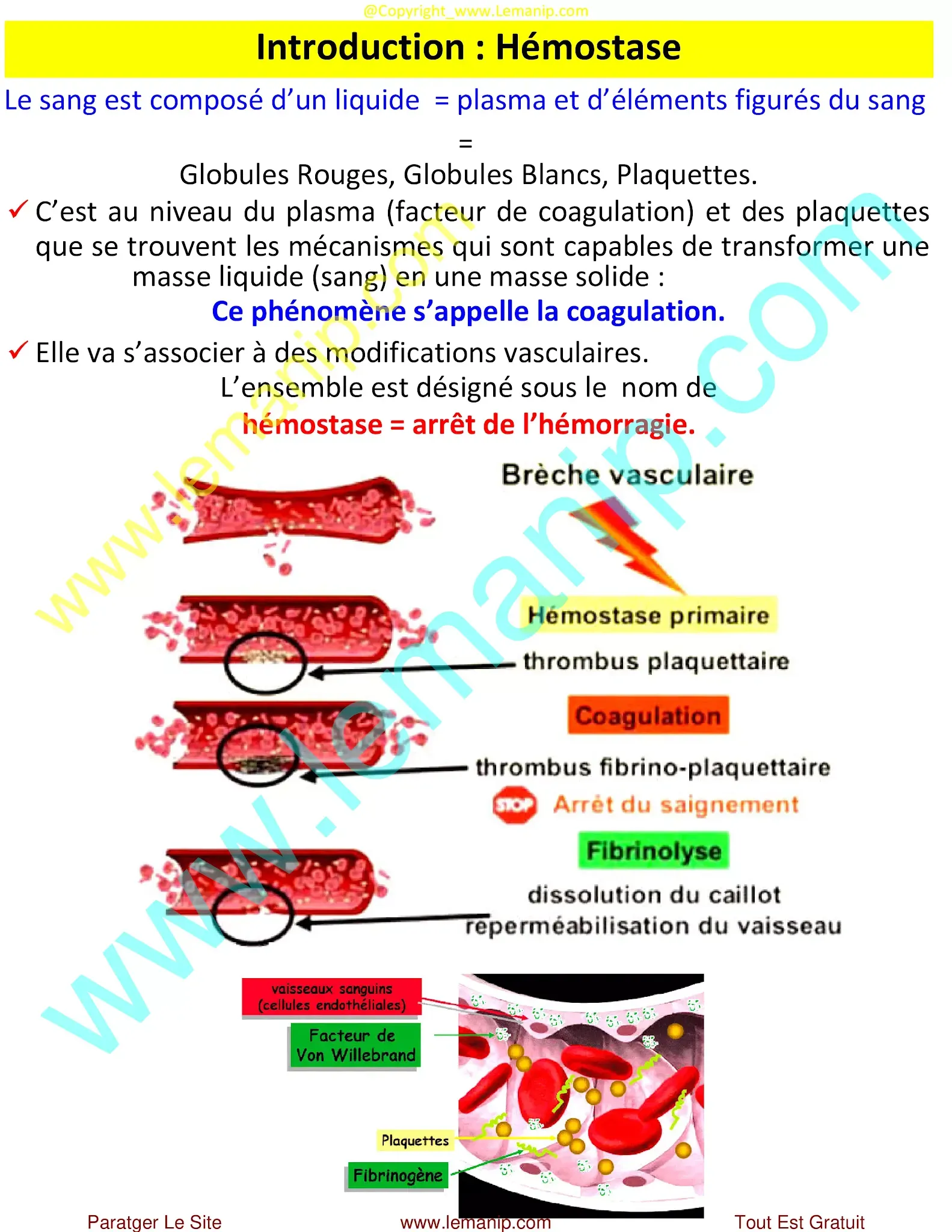 Introduction : Hémostase