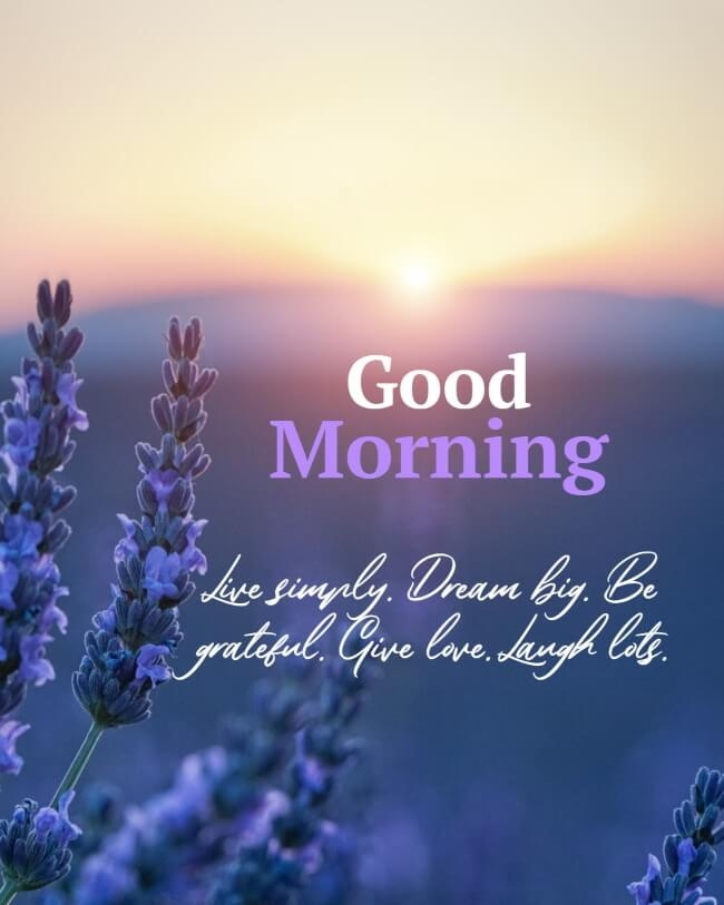 good morning photo video, good morning photo quotes in hindi, good morning photo maker, good morning photo photo, good morning photo of sai baba