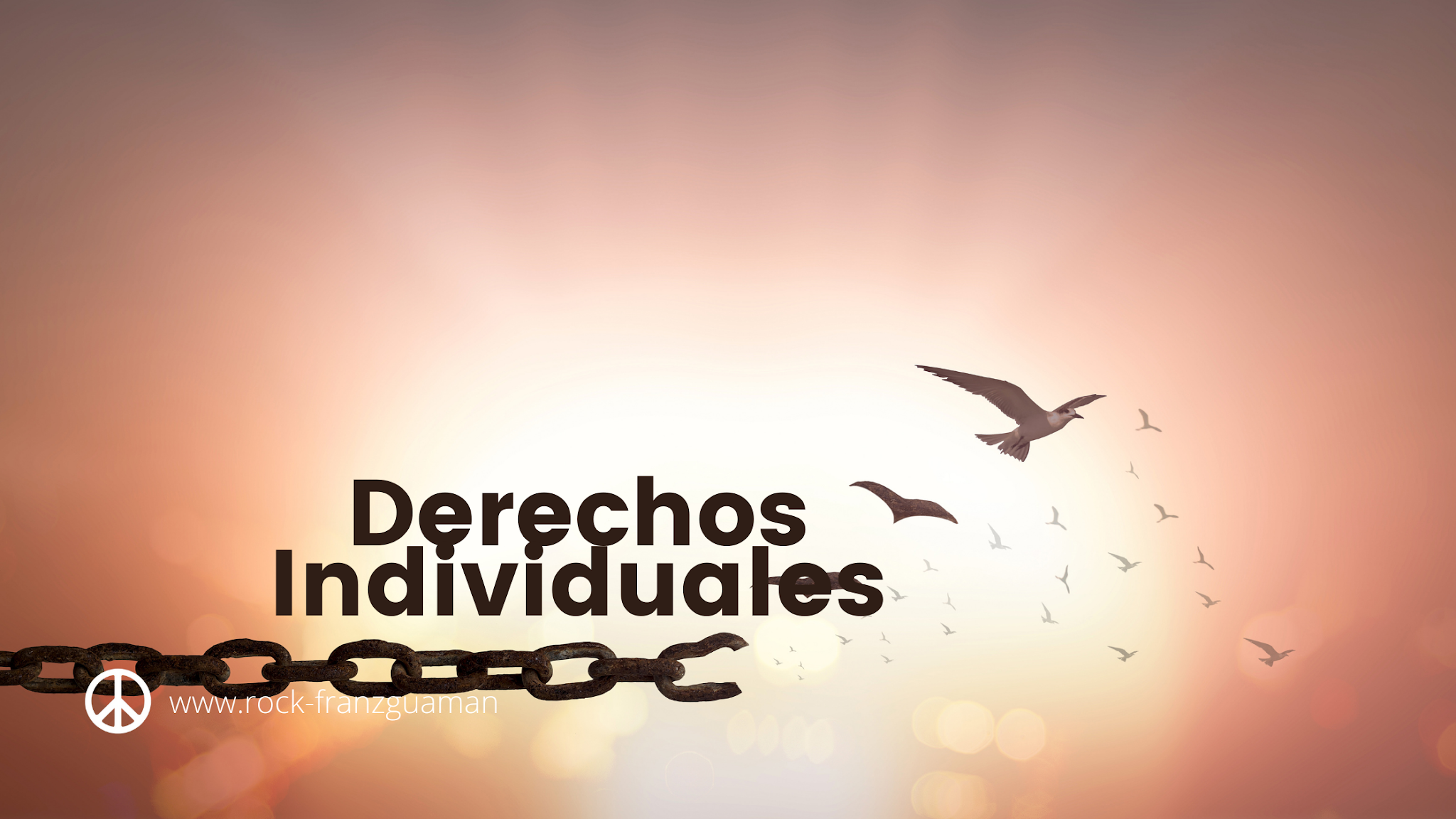 Los Derechos Individuales adquiridos