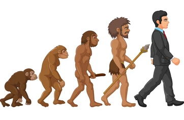 Evolution of Human