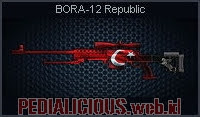BORA-12 Republic