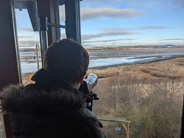 11 Reasons to Visit Angus  - bird watching with telescopes at montrose basin visitor centre