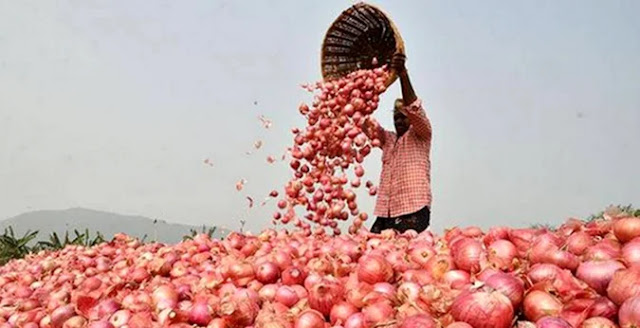 real time commodity market price news of onion income and sales decrease in Gujarat red onion and white onion price rise