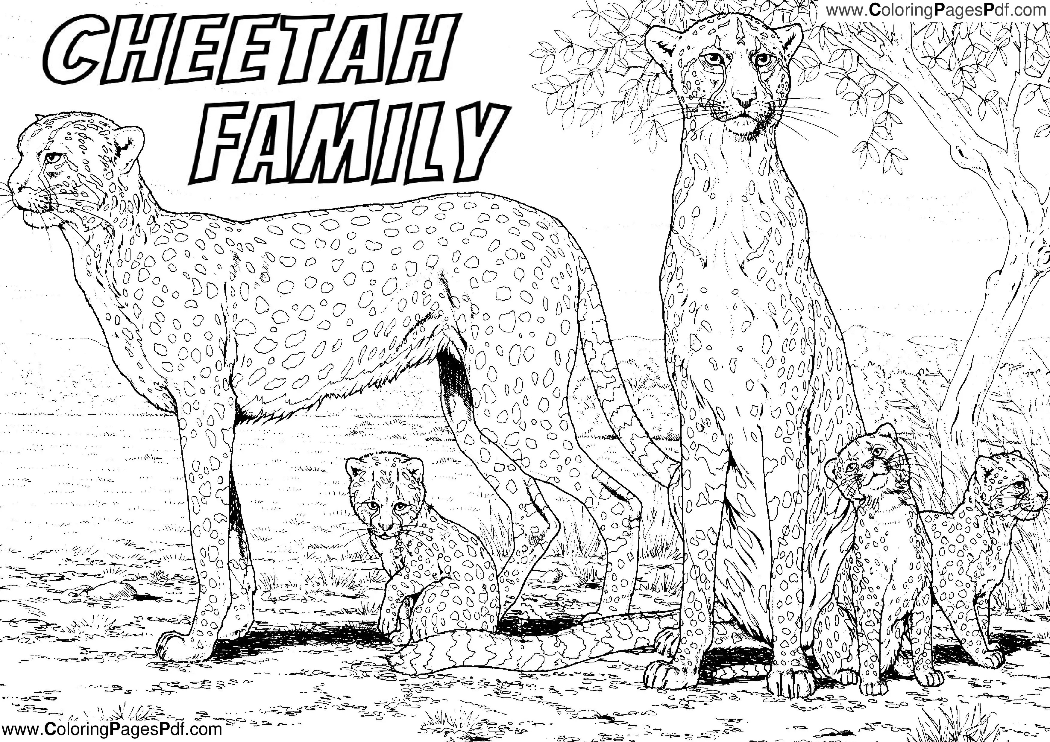 Cheetah coloring pages for adults