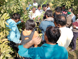 organic-farming