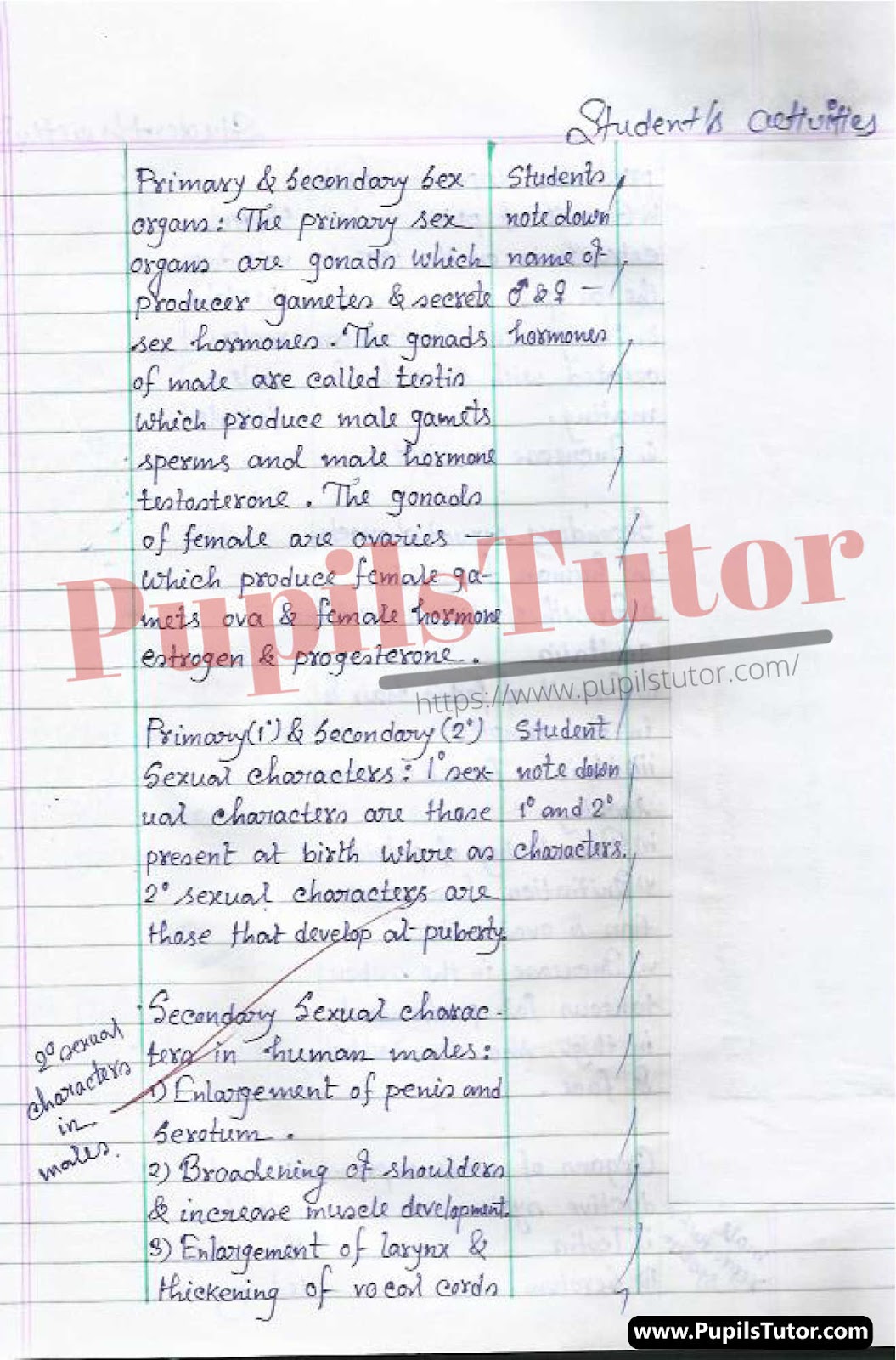 Class/Grade 11 Life Science Lesson Plan On Reproductive System For CBSE NCERT KVS School And University College Teachers – (Page And Image Number 3) – www.pupilstutor.com