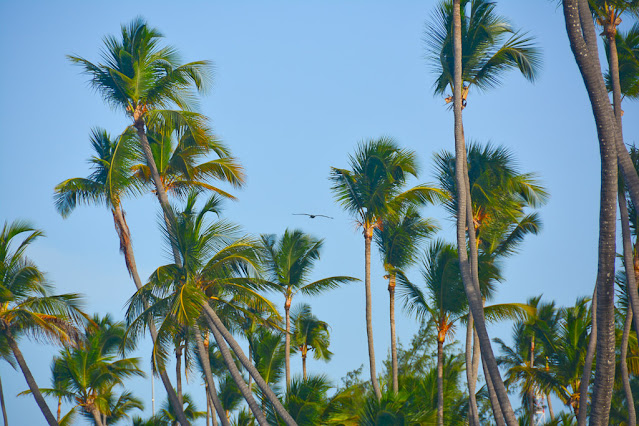 Punta Cana Bavaro (photo_1)