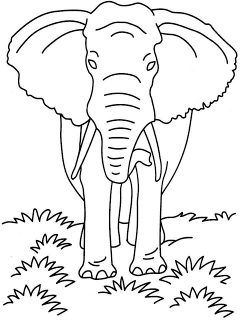 Giant elephant coloring pages