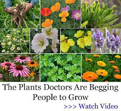 Plants Doctors are Begging People to Grow