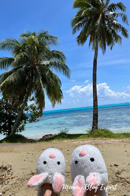 Bunny Slippers Tropical Island Vacation