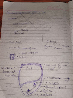 Seed, monocot and dicot seed class 11th