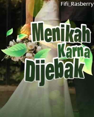 Novel Menikah Karna Dijebak Karya Fifi Full Episode