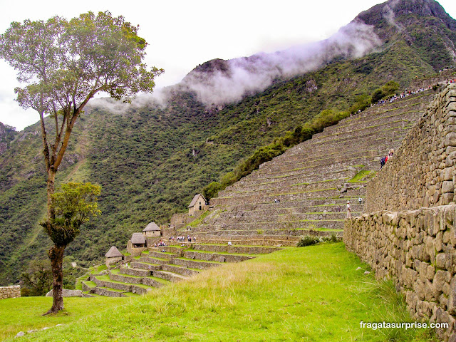 Terraços de cultivo em Machu Picchu