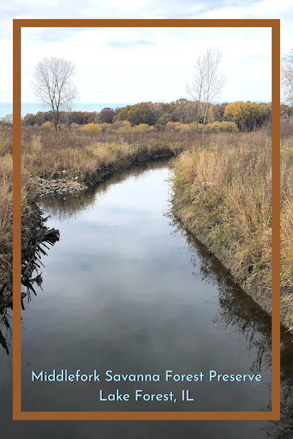 Middlefork Savanna Forest Preserve Represents an Incredibly Biodiverse Ecological Treasure in Lake Forest, Illinois