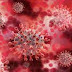 Nova variante do coronavírus, com grande número de mutações, é classificada por pesquisador como "horrível"