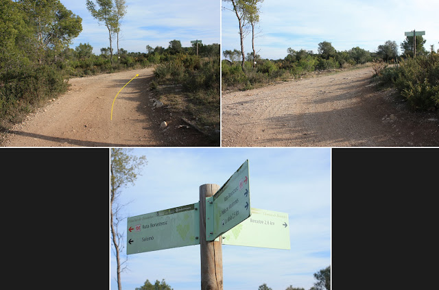 BONASTRE-LA MOLA-BOSC DE L'OBAGA DEL MAIÀ-MUNTANYES DEL TET-MASIA D'ESCANSA, Camí de Salomó a Bonastre