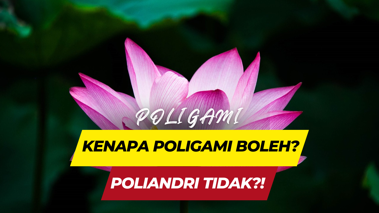 Kenapa Poligami Boleh, Poliandri Tidak?!