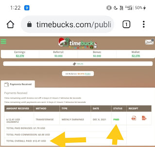Timebucks Payment Proof on 2022