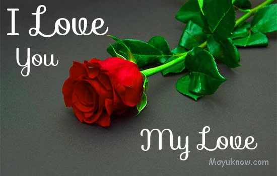 लव फोटो एचडी इमेज डाउनलोड | Love Photo HD Image Wallpaper Download -  MayUknow