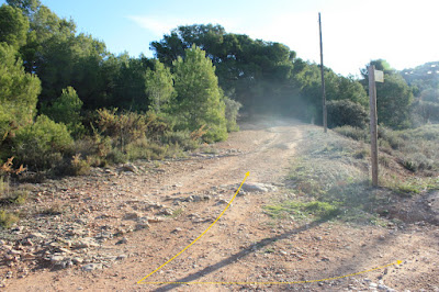 CIMS I COTES DEL BAIX PENEDÈS - MASLLORENÇ, camí en direcció al Puig de La Pedrera